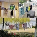 Corde à linge élastique avec de 2 crochets et 12 pinces - Image 4